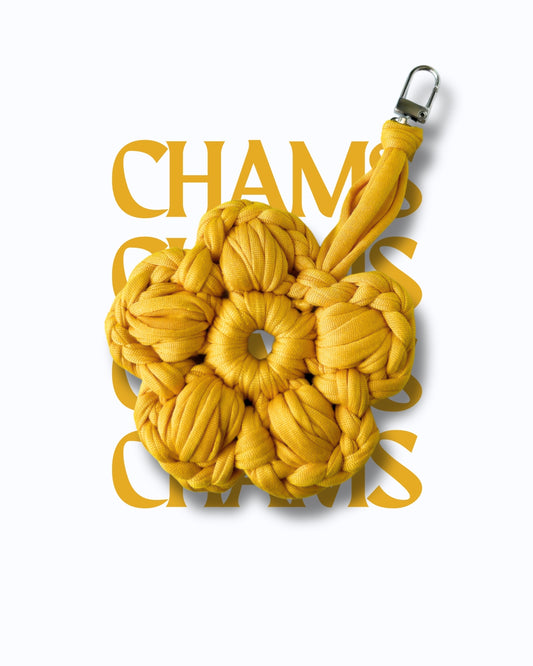 CHARM - CHAMS